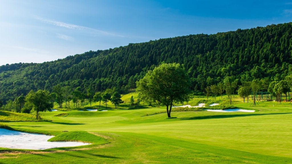 The Best Fairway Woods Our Roundup and Guide IvyGolf